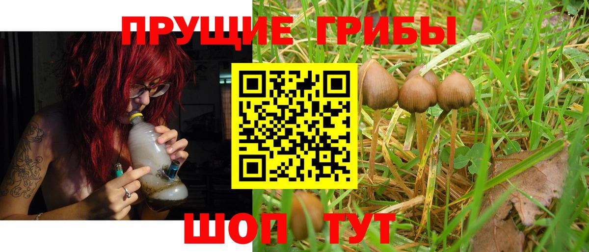 Псилоцибиновые грибы прущие грибы Горячий Ключ